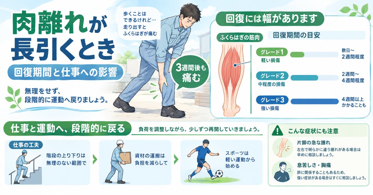 肉離れが3週間治らない？グレード別の回復期間と仕事への影響